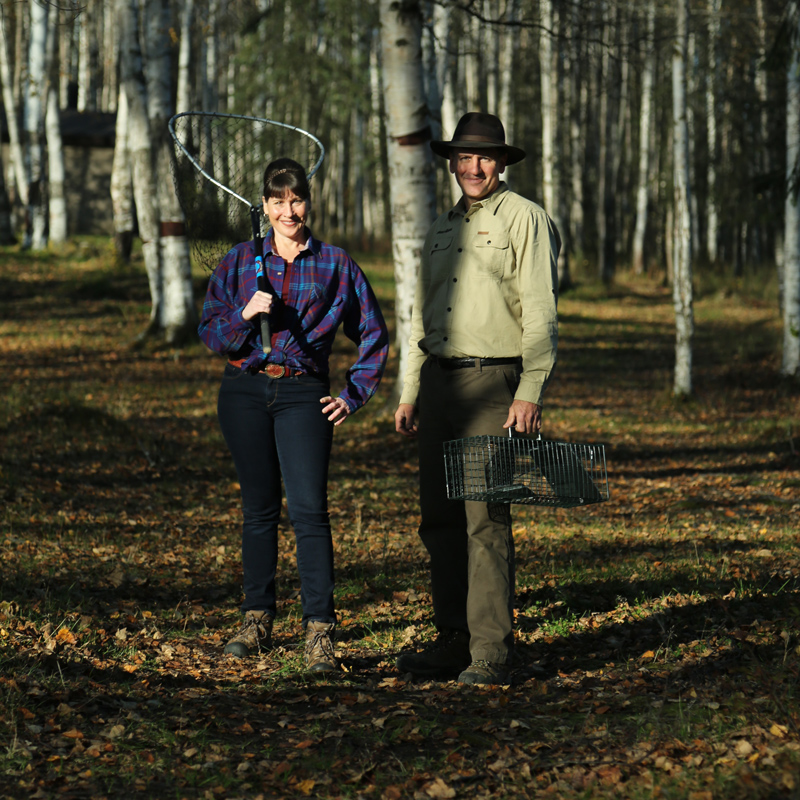 About Alaska Wildlife Rescue