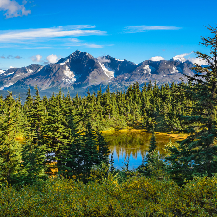 Alaska Wildlife Rescue Release Site Volunteer
